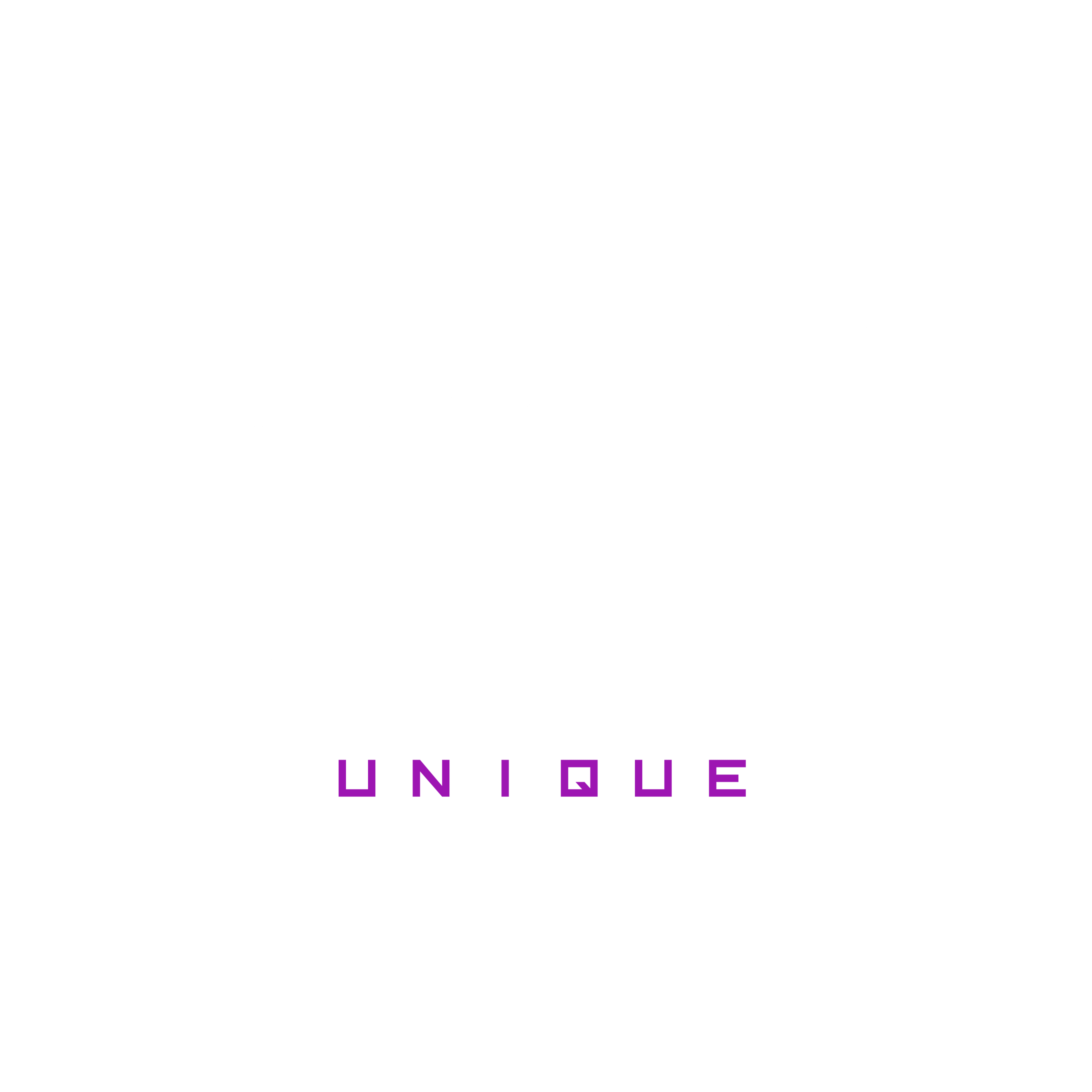 Logo Brycce